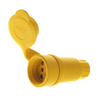 Electrical Outlets and Switches
